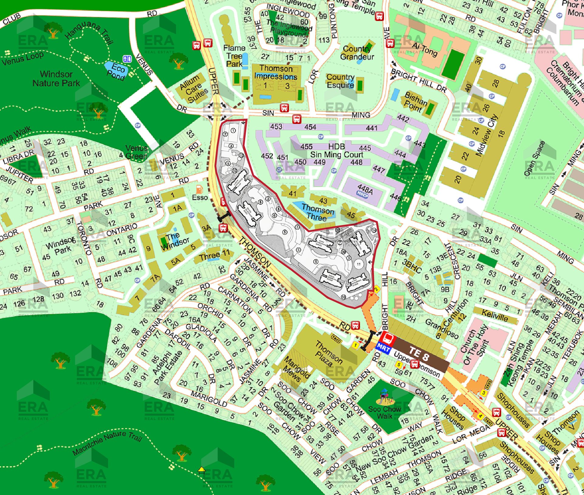 Thomson Reserve - project visual